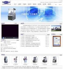 專業型網站建設 打造高效的數字品牌基石